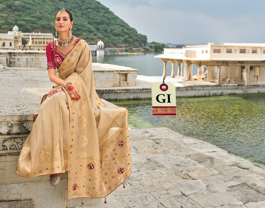 GI Tag of Kanchipuram Sarees | What Does It Mean?