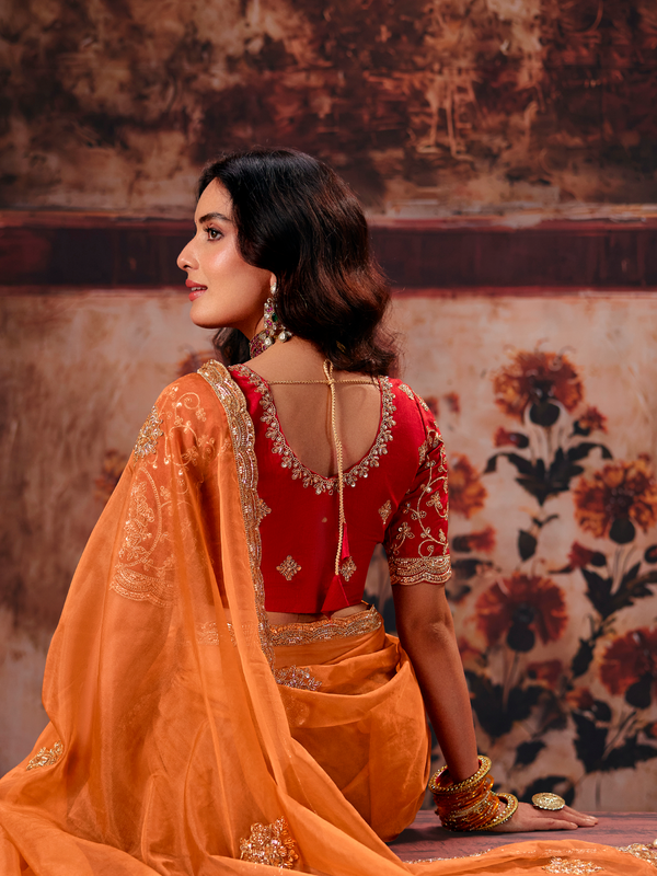 Rust Orange Embroidered Designer Organza Silk Saree With Contrast Blouse