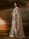 Taupe Grey Embroidered Designer Organza Silk Saree