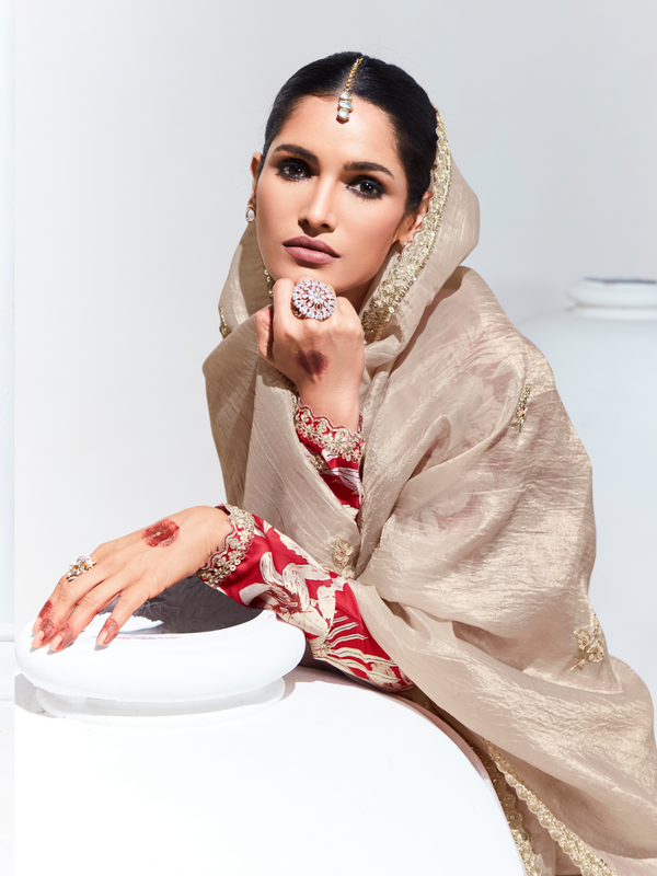 Champagne Beige Embroidered Designer Tissue Silk Saree