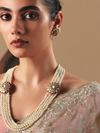 Champagne Organza Silk Saree
