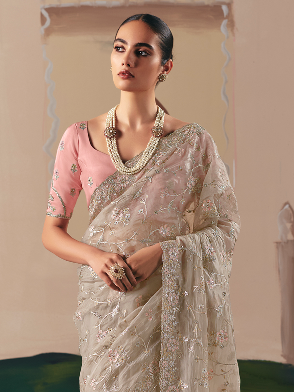 Champagne Organza Silk Saree