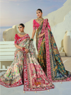 Ivory Cream Patola Silk Saree With Contrast Blouse