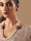 Champagne Organza Silk Saree
