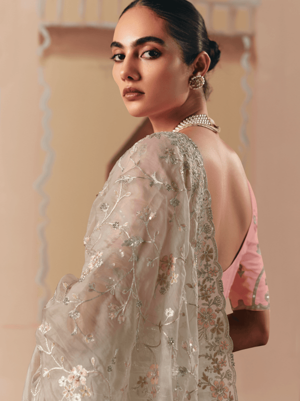 Champagne Organza Silk Saree