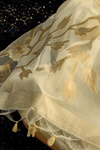 Ivory Cream Banarasi Cotton Silk Saree