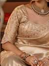Light Gold Embroidered Designer Tissue Silk Saree