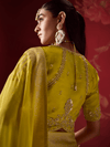 Lime Yellow Banarasi Dola Silk Saree