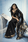 Midnight Black Banarasi Silk Saree