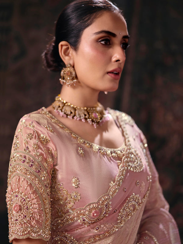 Onion Pink Embroidered Designer Tissue Silk Saree, blouse close-up