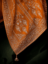 Orange Organza Silk Saree