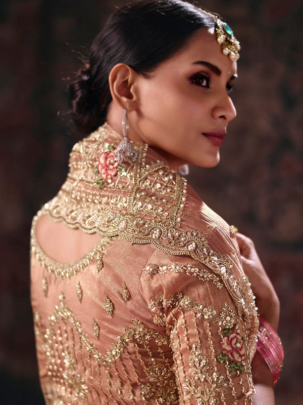 Peach Pink Embroidered Designer Tissue Silk Saree, back view