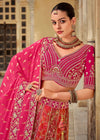 Rani Pink Banarasi Lehenga Choli
