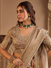 Beige Gold Embroidered Designer Tissue Silk Saree
