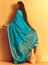 Turquoise Blue Woven Designer Tussar Silk Saree, back view