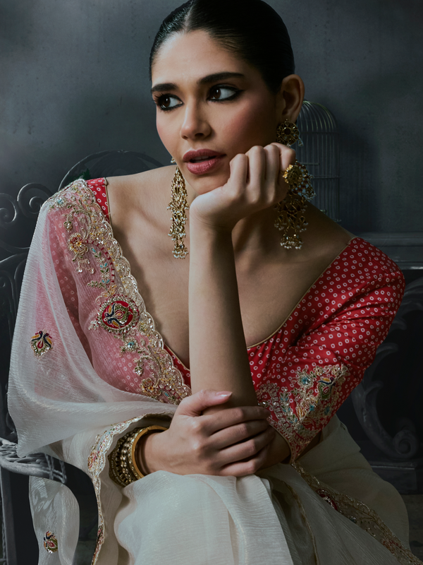 Off White Embroidered Designer Organza Silk Saree With Contrast Blouse