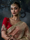 Champagne Gold Embroidered Designer Tissue Silk Saree With Contrast Blouse