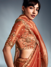Copper Embroidered Designer Tissue Organza Silk Saree