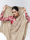 Champagne Beige Embroidered Designer Tissue Silk Saree