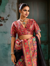 Black Kashmiri Cotton Silk Saree With Contrast Blouse