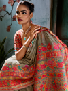 Chiku Beige Kashmiri Cotton Silk Saree With Contrast Blouse