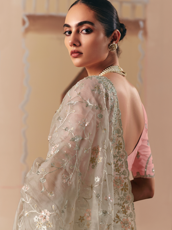 Champagne Organza Silk Saree