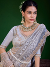 Lavender Grey Banarasi Tissue Silk Saree
