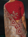 Silver Grey Embroidered Designer Tissue Silk Saree With Contrast Blouse