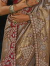 Champagne Embroidered Designer Tissue Silk Saree With Contrast Blouse