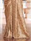 Antique Gold Banarasi Tissue Silk Saree