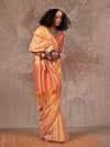 Beige Gold Kanjivaram Two Tone Silk Saree With Contrast Blouse