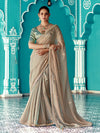 Beige Organza Saree with Embroidered Border