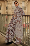 Bistre Brown Lucknowi Chikankari Organza Saree