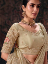 Champagne Beige Embroidered Designer Tissue Silk Saree, blouse close-up