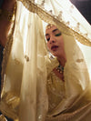 Champagne Gold Embroidered Designer Tissue Silk Saree, pallu detail