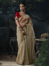 Champagne Gold Embroidered Designer Tissue Silk Saree With Contrast Blouse