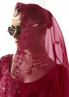 Crimson Red Organza Tissue Silk Saree