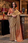 Golden Brown Tussar Silk Saree With Ikkat Pallu and Contrast Blouse