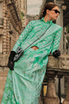 Meadow Green Lucknowi Chikankari Organza Saree