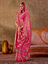 Rani Pink Patola Silk Saree