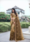 Tan Beige And Coffee Brown Embroidered Designer Tissue Silk Saree