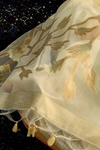 Ivory Cream Banarasi Cotton Silk Saree